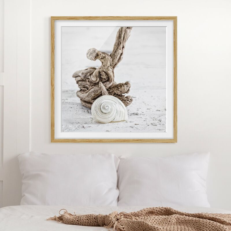

Póster enmarcado - Bianco guscio di lumaca e Burl Dimensión LxA: 50cm x 50cm, Marco: Roble