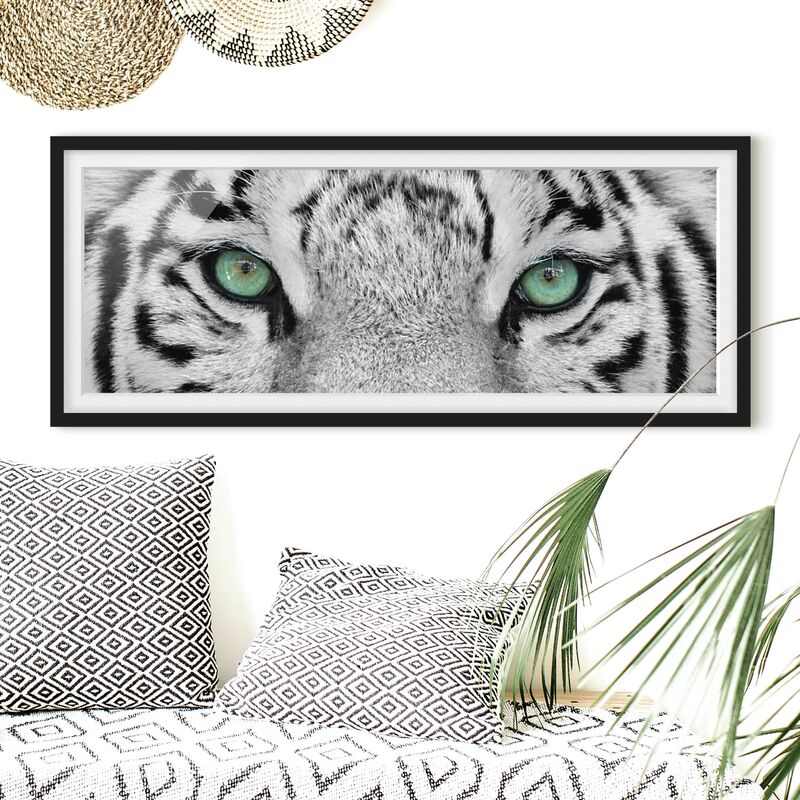 

Póster enmarcado - Bianco Tiger Dimensión LxA: 50cm x 130cm, Marco: Negro