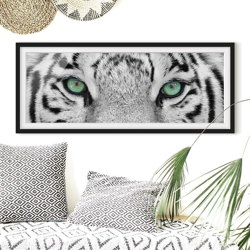 

Póster enmarcado - Bianco Tiger Dimensión LxA: 20cm x 50cm, Marco: Negro