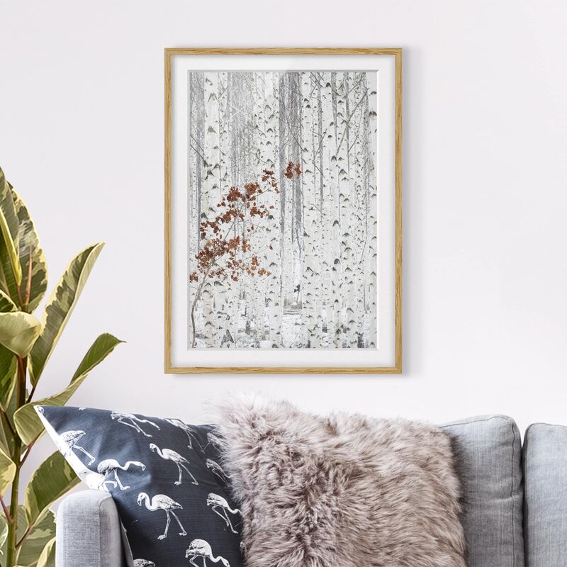 

Póster enmarcado - Birch Trees In Autumn Dimensión LxA: 100cm x 70cm, Marco: Roble