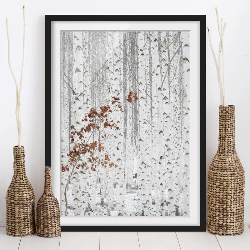 

Póster enmarcado - Birch Trees In Autumn Dimensión LxA: 55cm x 40cm, Marco: Negro