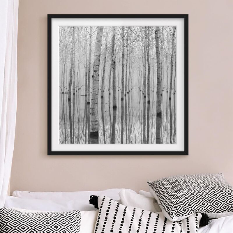 

Póster enmarcado - Birches In November Dimensión LxA: 30cm x 30cm, Marco: Negro