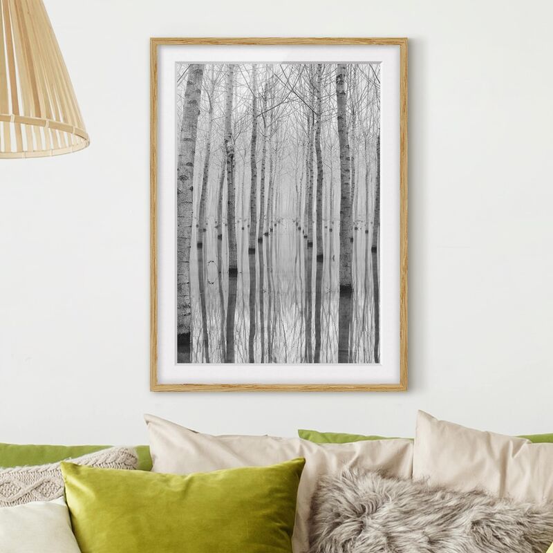 

Póster enmarcado - Birches In November Dimensión LxA: 100cm x 70cm, Marco: Roble