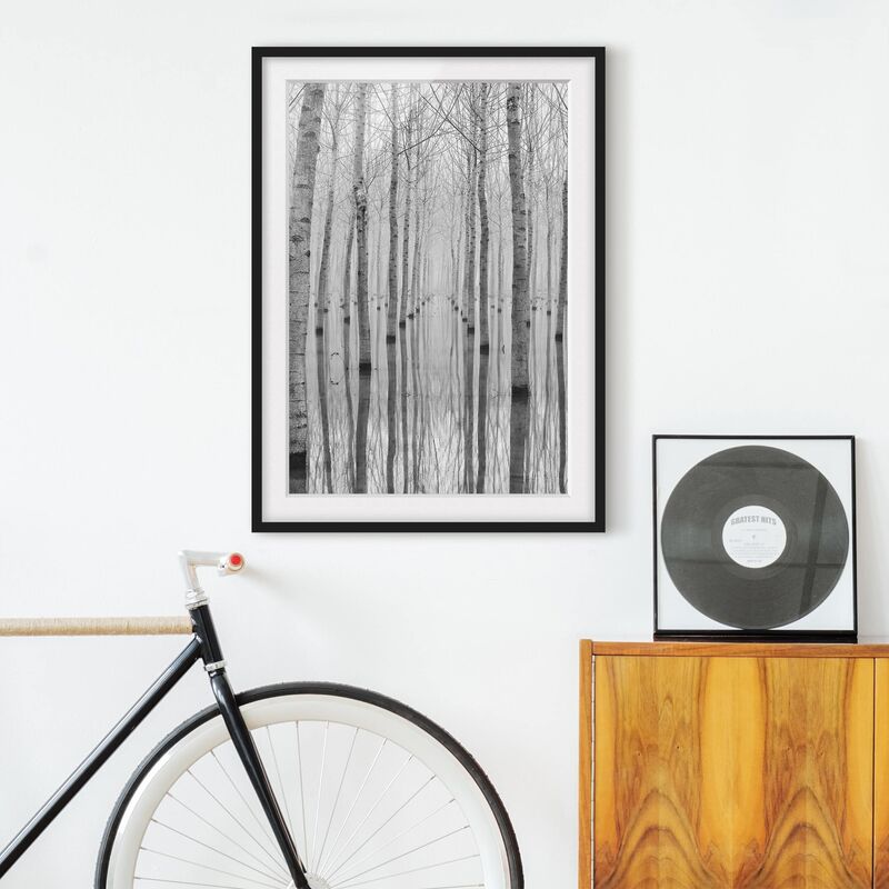 

Póster enmarcado - Birches In November Dimensión LxA: 24cm x 18cm, Marco: Negro