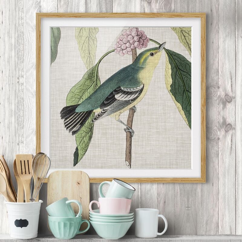 

Póster enmarcado - Bird On Linen Pink I Dimensión LxA: 50cm x 50cm, Marco: Roble