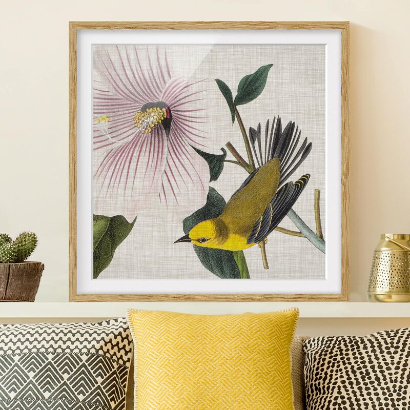 

Póster enmarcado - Bird On Linen Yellow I Dimensión LxA: 50cm x 50cm, Marco: Roble