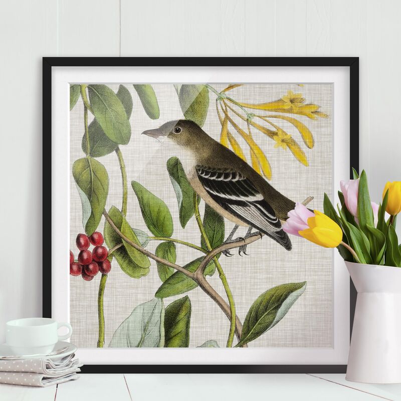 

Póster enmarcado - Bird On Linen Yellow II Dimensión LxA: 70cm x 70cm, Marco: Negro