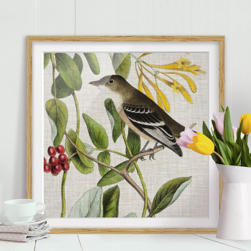 

Póster enmarcado - Bird On Linen Yellow II Dimensión LxA: 50cm x 50cm, Marco: Roble