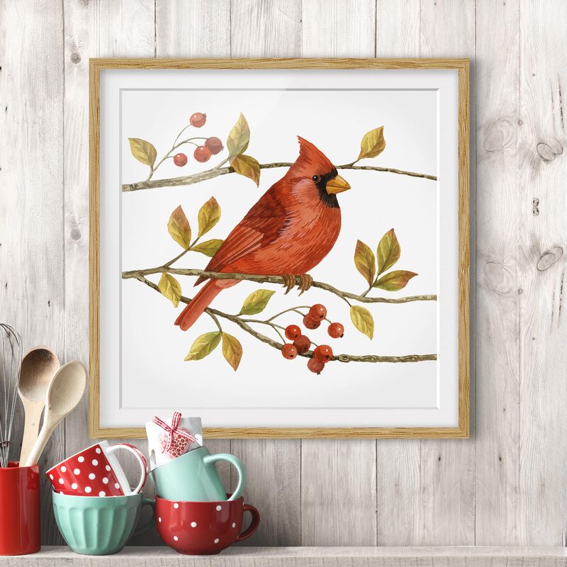 

Póster enmarcado - Birds And Berries - Northern Cardinal Dimensión LxA: 20cm x 20cm, Marco: Roble