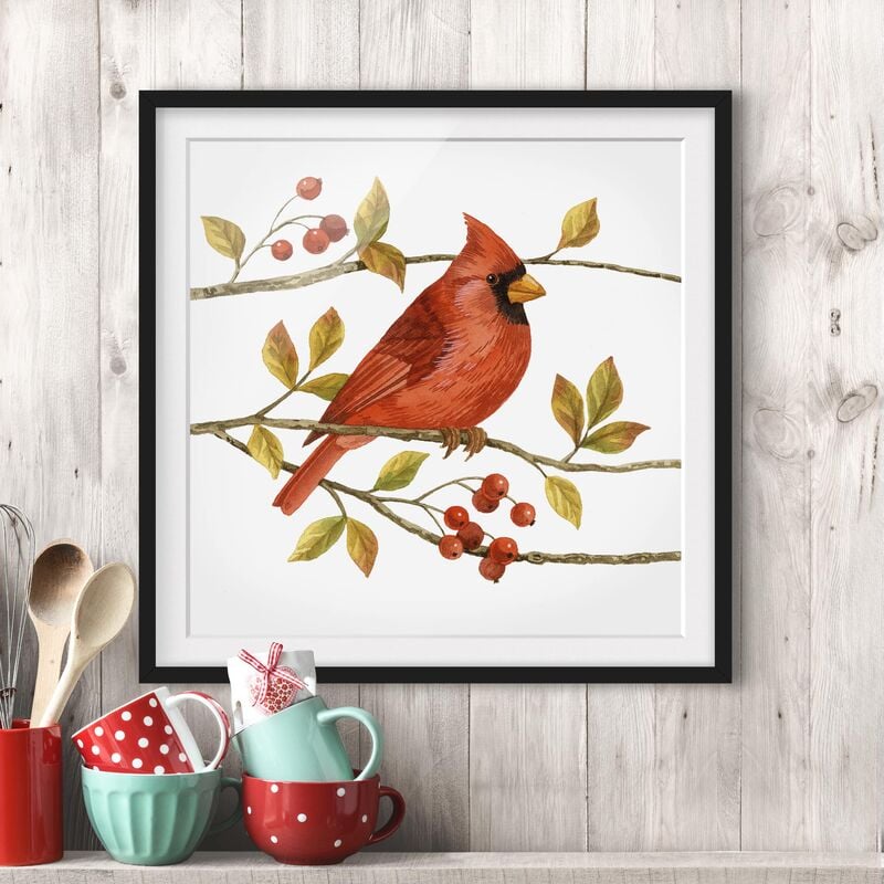 

Póster enmarcado - Birds And Berries - Northern Cardinal Dimensión LxA: 20cm x 20cm, Marco: Negro