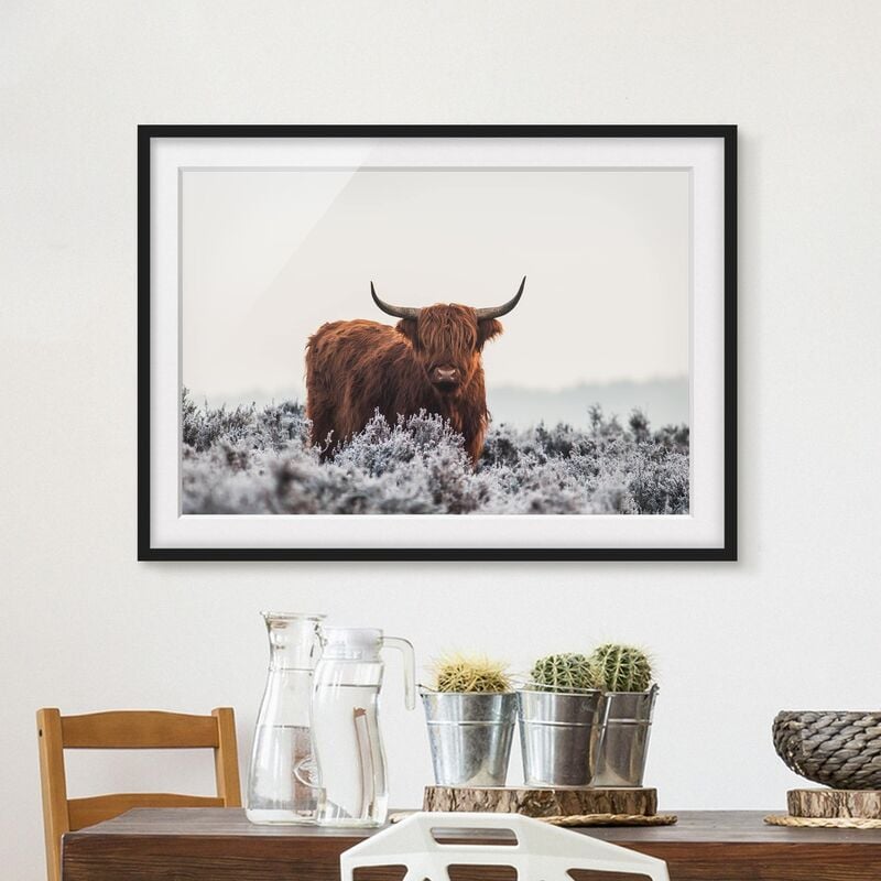 

Póster enmarcado - Bisonte Nelle Highlands Dimensión LxA: 70cm x 100cm, Marco: Negro