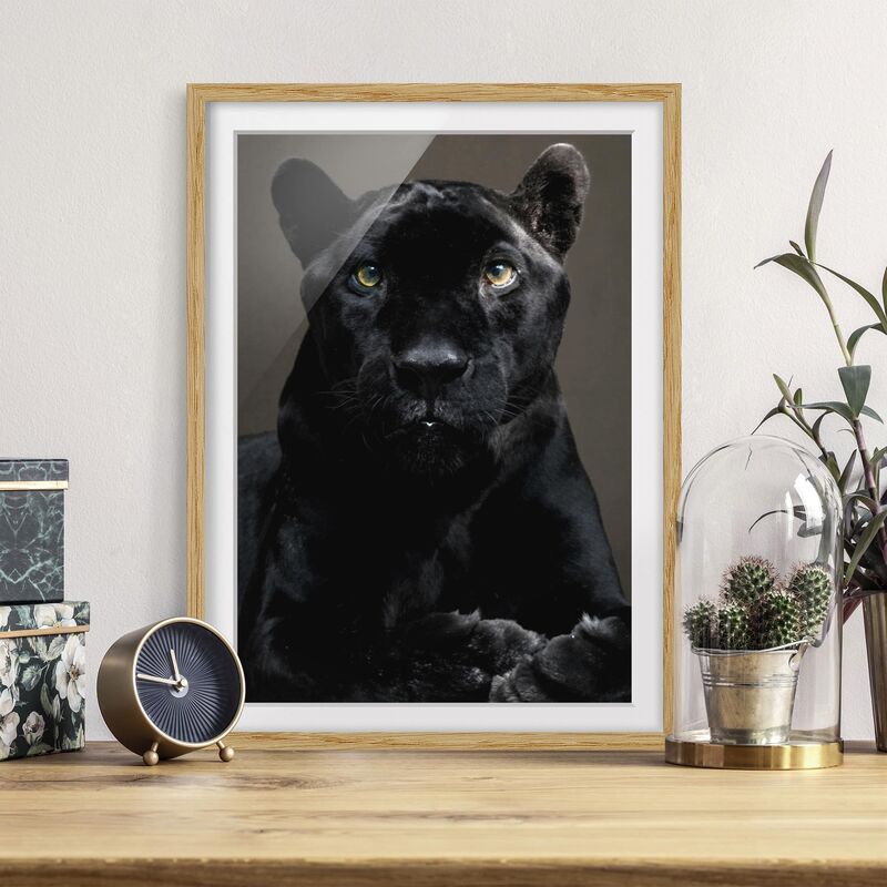 

Póster enmarcado - Black Puma Dimensión LxA: 55cm x 40cm, Marco: Roble