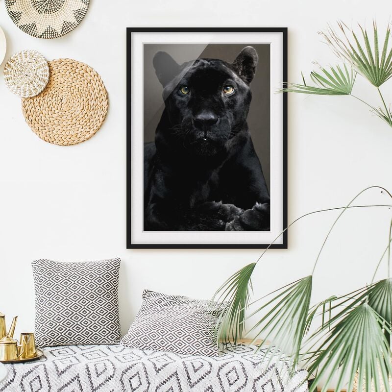 

Póster enmarcado - Black Puma Dimensión LxA: 70cm x 50cm, Marco: Negro