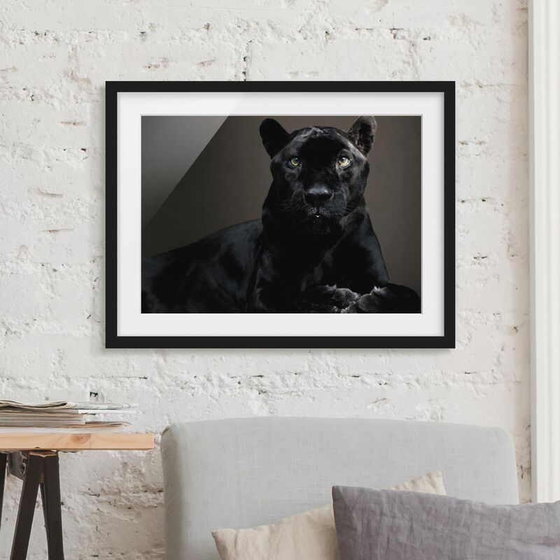 

Póster enmarcado - Black Puma Dimensión LxA: 50cm x 70cm, Marco: Negro