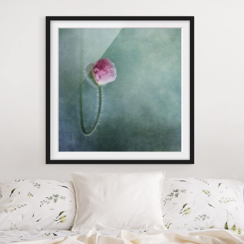

Póster enmarcado - Blossom In Pink Dimensión LxA: 30cm x 30cm, Marco: Negro