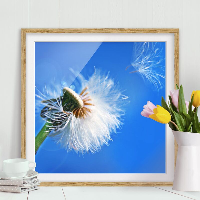 

Póster enmarcado - Blown Away Dimensión LxA: 70cm x 70cm, Marco: Roble