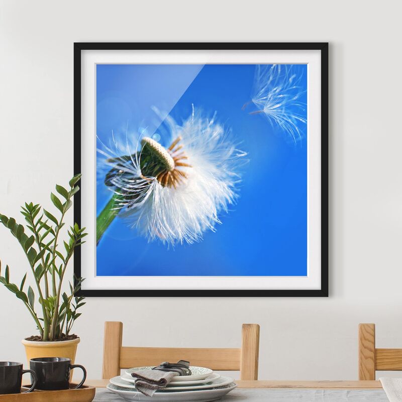 

Póster enmarcado - Blown Away Dimensión LxA: 30cm x 30cm, Marco: Negro