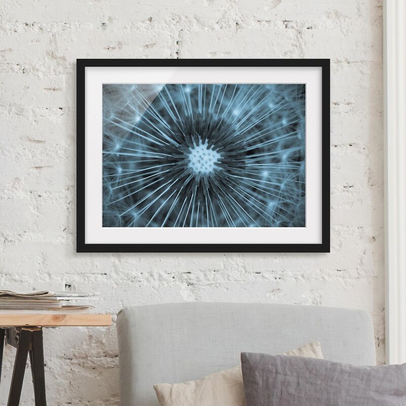 

Póster enmarcado - Blu colorati dente di leone Dimensión LxA: 30cm x 40cm, Marco: Negro