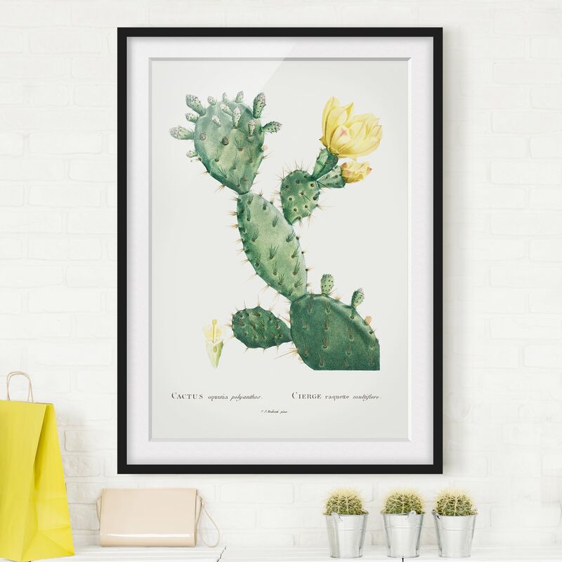 

Póster enmarcado - Botanica illustrazione d'epoca di cactus con fiore giallo Dimensión LxA: 70cm x 50cm, Marco: Negro
