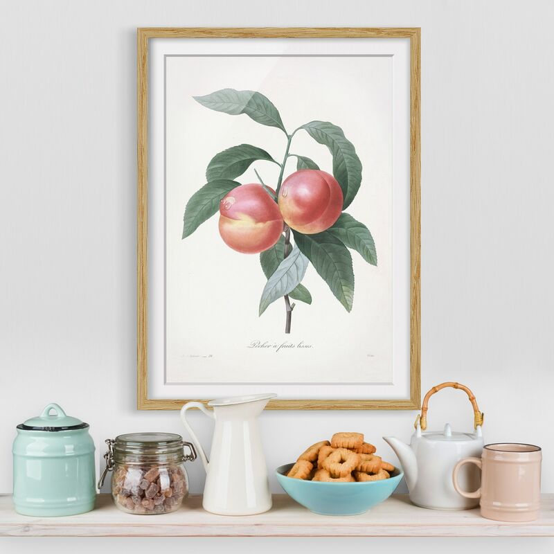 

Póster enmarcado - Botanica illustrazione d'epoca Peach Dimensión LxA: 55cm x 40cm, Marco: Roble