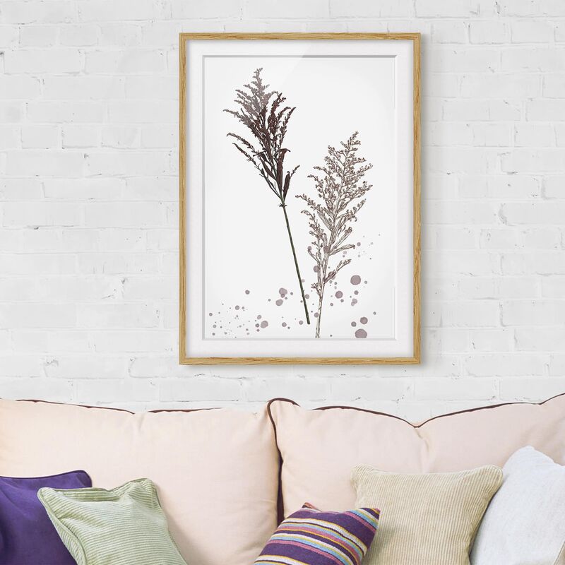 

Póster enmarcado - Botanico Acquerello - Festuca Canna Dimensión LxA: 55cm x 40cm, Marco: Roble