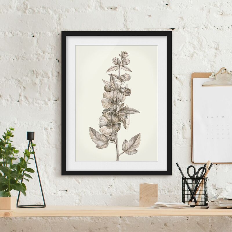 

Póster enmarcado - Botanico Study in Sepia II Dimensión LxA: 24cm x 18cm, Marco: Negro