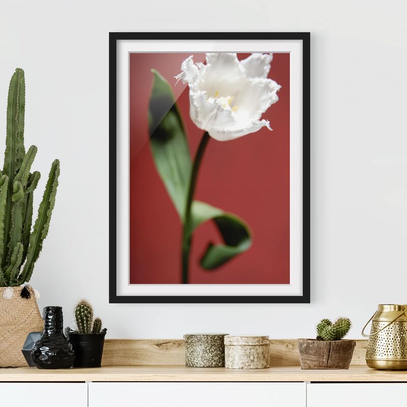 

Póster enmarcado - Breathtaking White Tulip Dimensión LxA: 40cm x 30cm, Marco: Negro