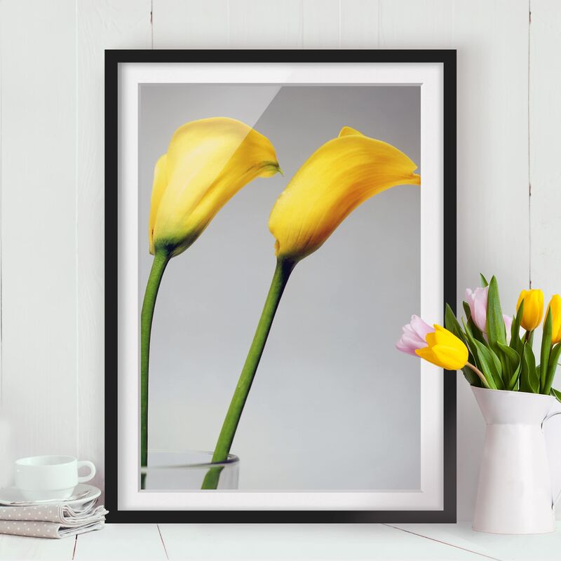 

Póster enmarcado - Bright Calla Dimensión LxA: 24cm x 18cm, Marco: Negro