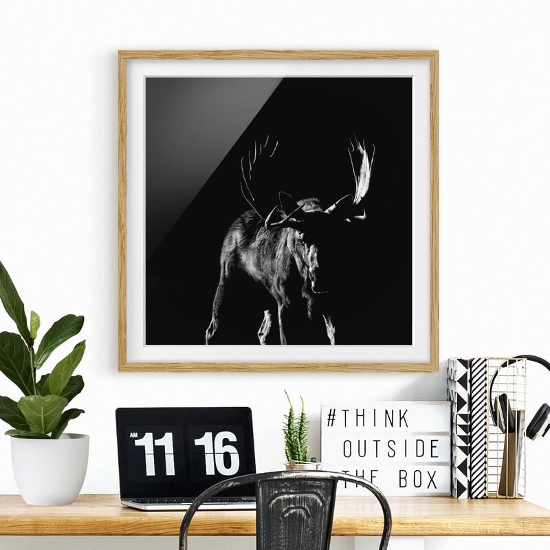 

Póster enmarcado - Bull In The Dark Dimensión LxA: 30cm x 30cm, Marco: Roble