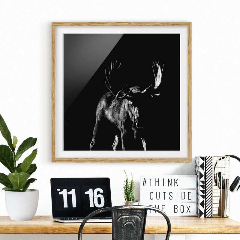 

Póster enmarcado - Bull In The Dark Dimensión LxA: 20cm x 20cm, Marco: Roble