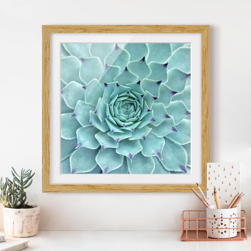

Póster enmarcado - Cactus Agave Dimensión LxA: 20cm x 20cm, Marco: Roble