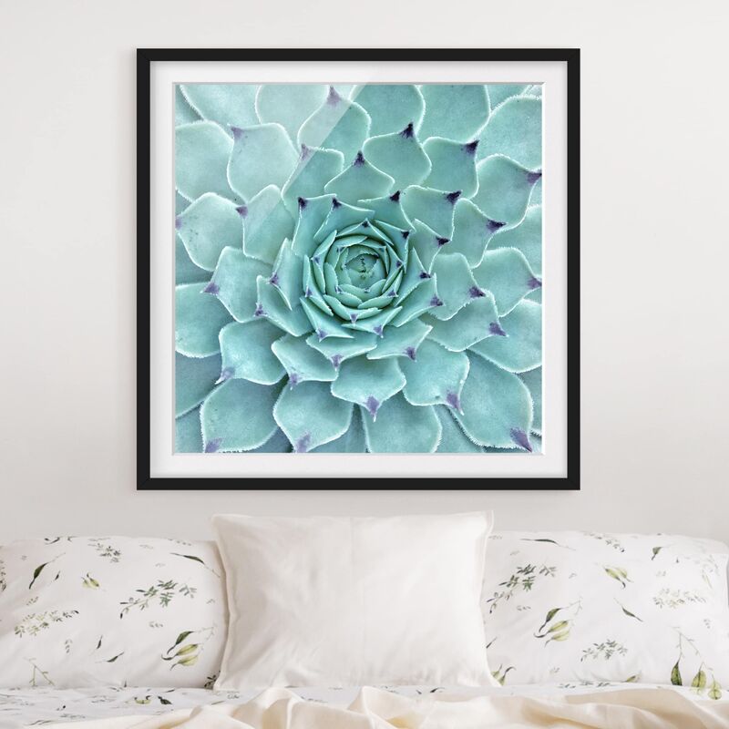 

Póster enmarcado - Cactus Agave Dimensión LxA: 30cm x 30cm, Marco: Negro