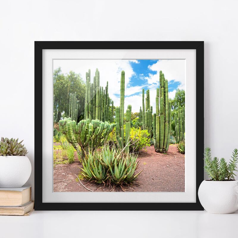 

Póster enmarcado - Cactus Landscape Dimensión LxA: 20cm x 20cm, Marco: Negro