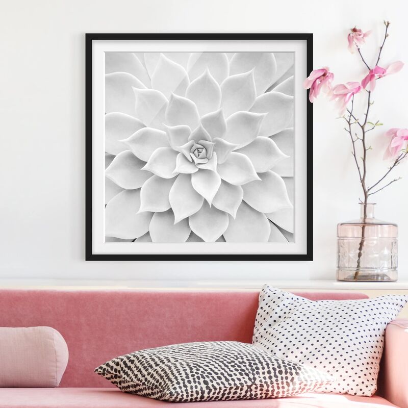 

Póster enmarcado - Cactus Succulent Dimensión LxA: 20cm x 20cm, Marco: Negro
