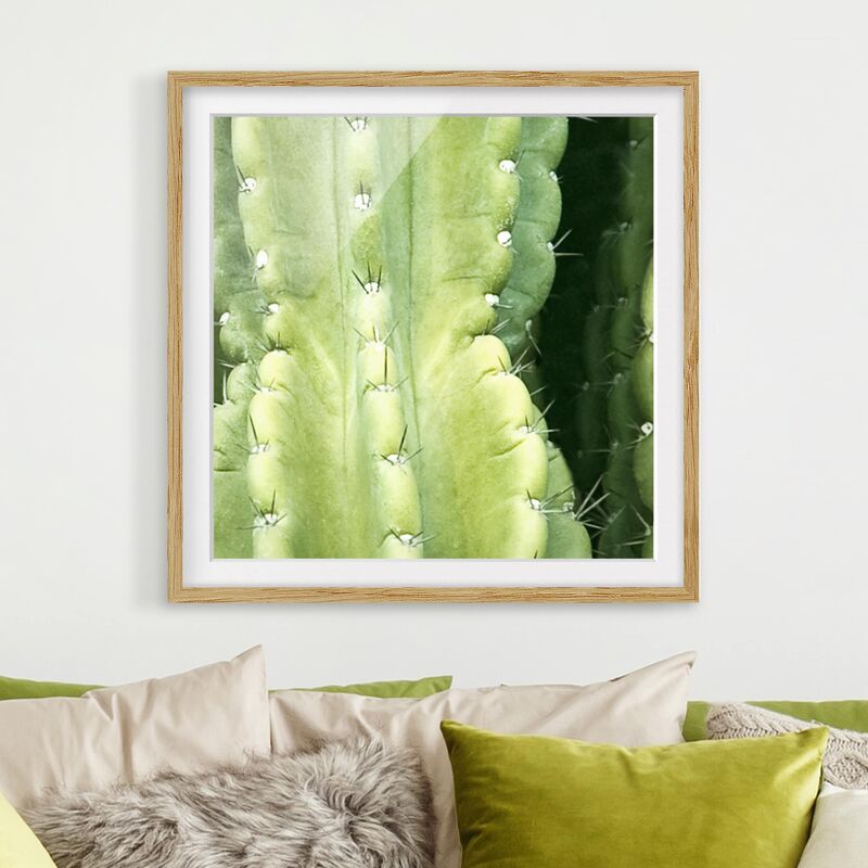 

Póster enmarcado - Cactus Wall Dimensión LxA: 20cm x 20cm, Marco: Roble