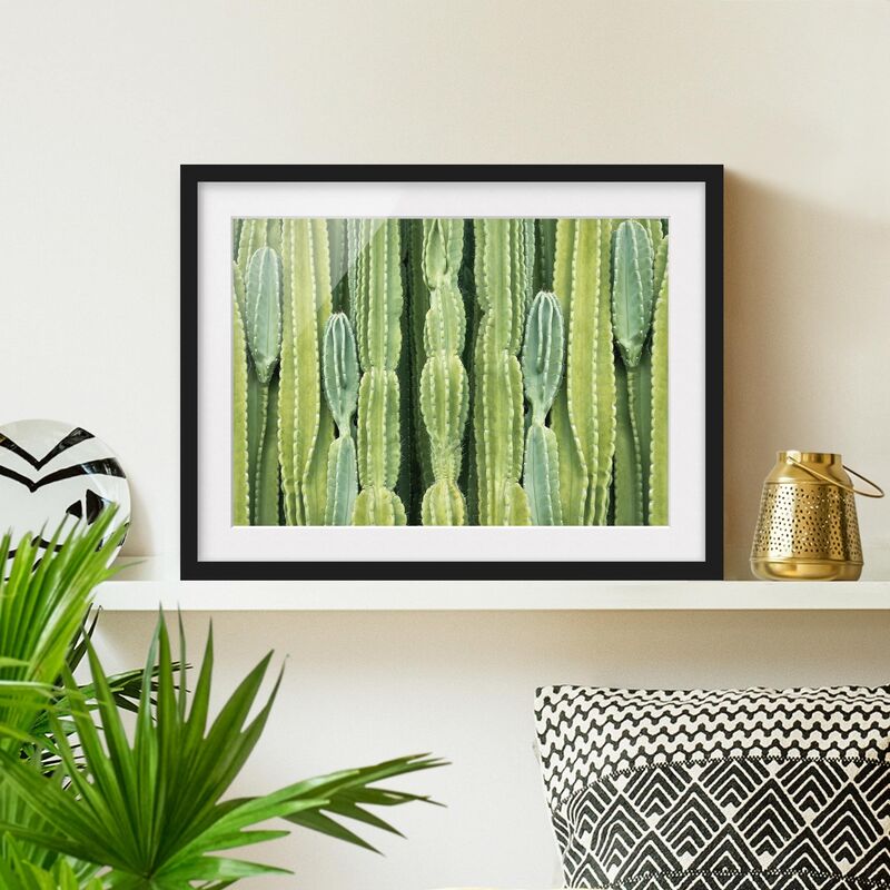 

Póster enmarcado - Cactus Wall Dimensión LxA: 18cm x 24cm, Marco: Negro