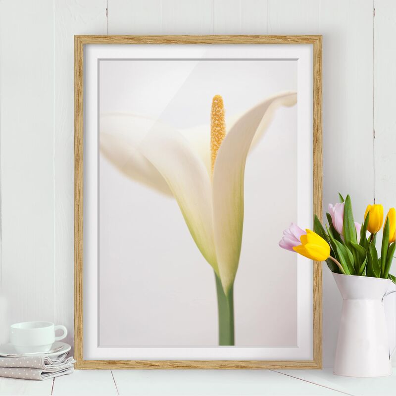 

Póster enmarcado - Calla Trio Part 2 Dimensión LxA: 40cm x 30cm, Marco: Roble