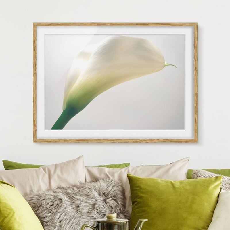

Póster enmarcado - Calla Trio Part 3 Dimensión LxA: 50cm x 70cm, Marco: Roble