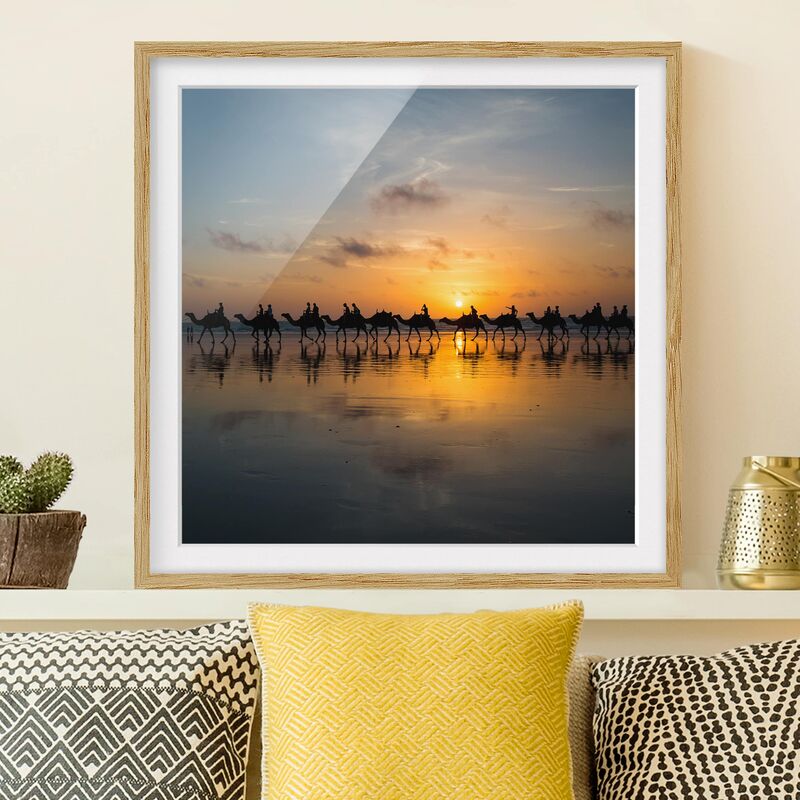 

Póster enmarcado - Camels In Sunset Dimensión LxA: 70cm x 70cm, Marco: Roble