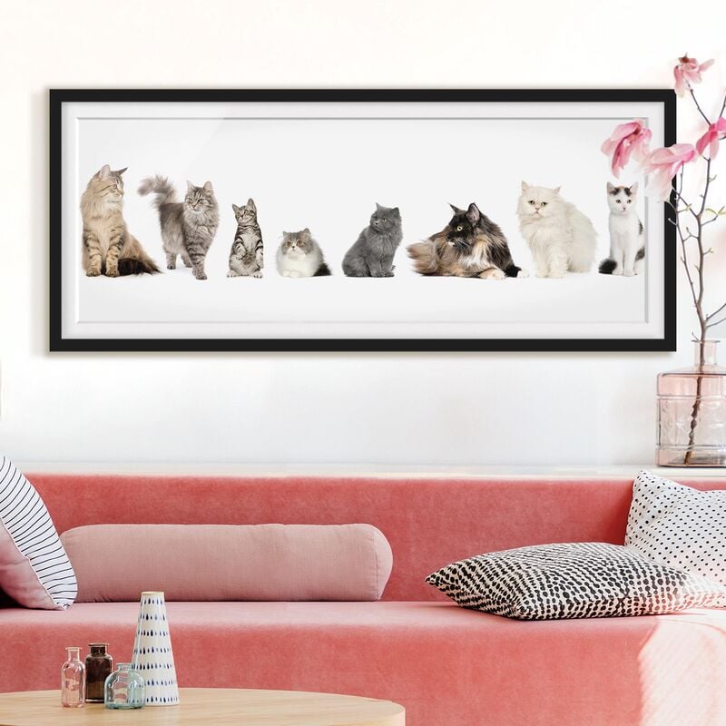 

Póster enmarcado - Cat Banda Dimensión LxA: 40cm x 100cm, Marco: Negro