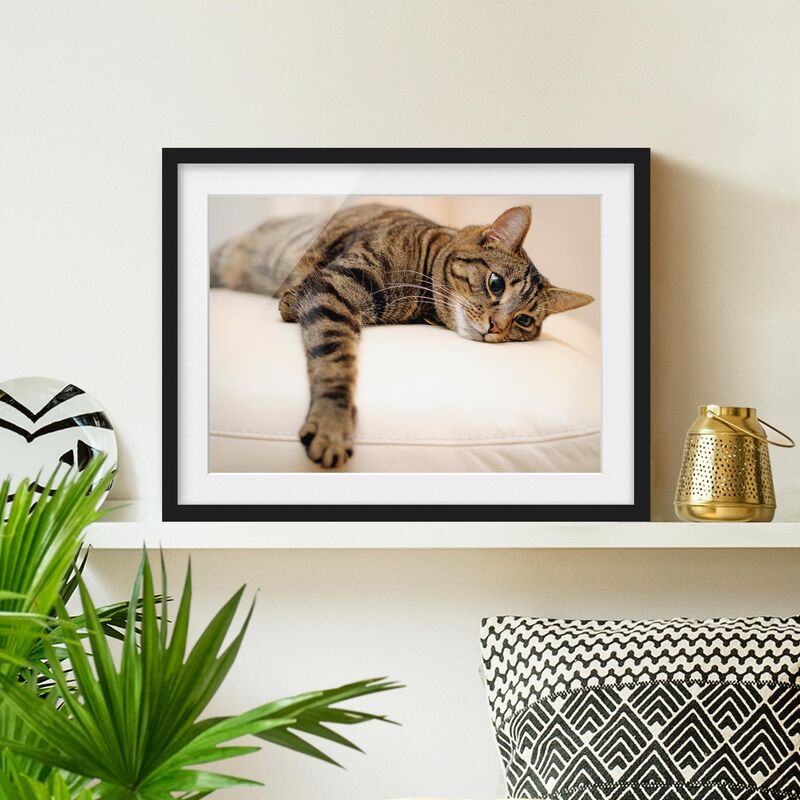

Póster enmarcado - Cat Chill Out Dimensión LxA: 70cm x 100cm, Marco: Negro
