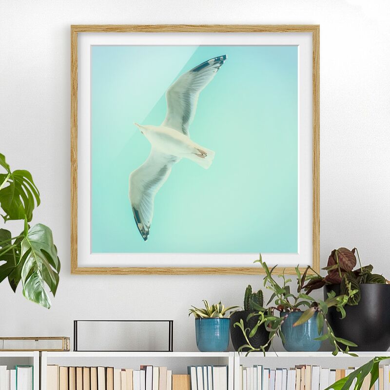 

Póster enmarcado - Cielo Blu Con Gabbiano Dimensión LxA: 30cm x 30cm, Marco: Roble