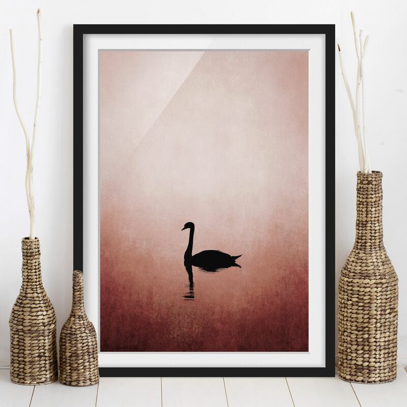 

Póster enmarcado - Cigno al tramonto Dimensión LxA: 24cm x 18cm, Marco: Negro