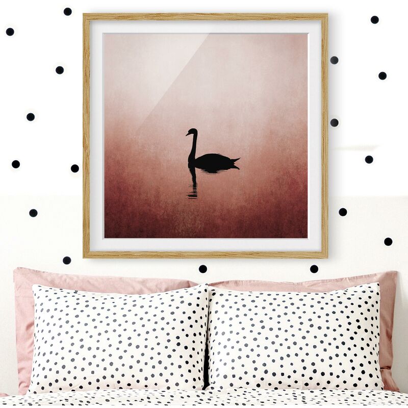 

Póster enmarcado - Cigno al tramonto Dimensión LxA: 20cm x 20cm, Marco: Roble