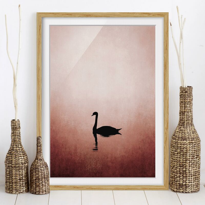 

Póster enmarcado - Cigno al tramonto Dimensión LxA: 100cm x 70cm, Marco: Roble