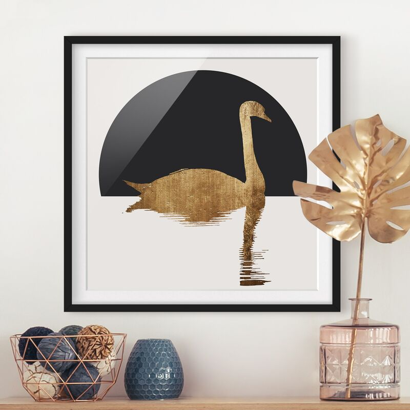 

Póster enmarcado - Cigno in oro Dimensión LxA: 70cm x 70cm, Marco: Negro