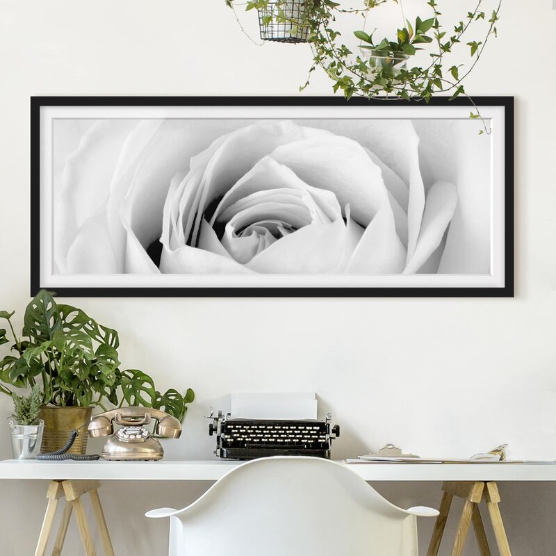 

Póster enmarcado - Close Up Rose Dimensión LxA: 20cm x 50cm, Marco: Negro