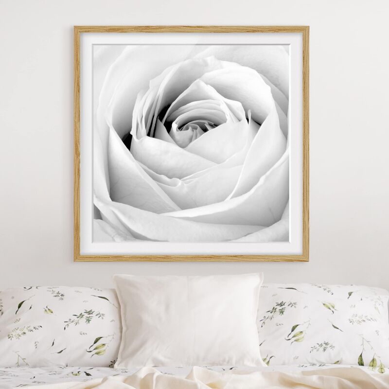 

Póster enmarcado - Close Up Rose Dimensión LxA: 20cm x 20cm, Marco: Roble
