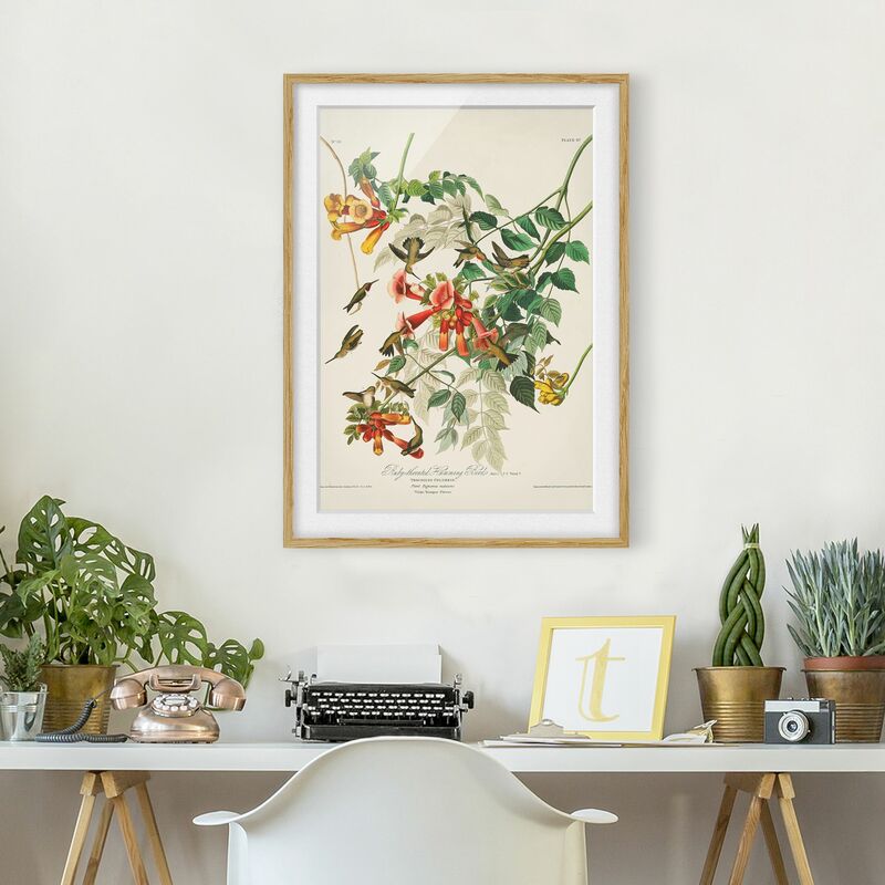 

Póster enmarcado - Colibrì Consiglio d'epoca Dimensión LxA: 24cm x 18cm, Marco: Roble