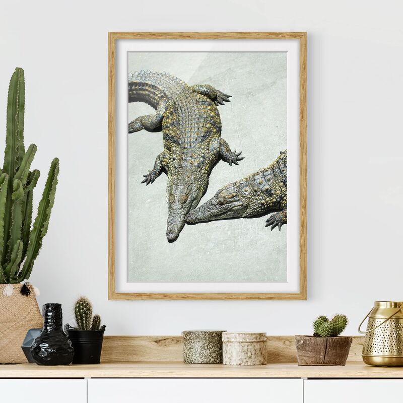 

Póster enmarcado - Crocodile Romance Dimensión LxA: 100cm x 70cm, Marco: Roble